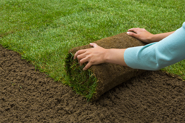 Water Line Installation & Repair